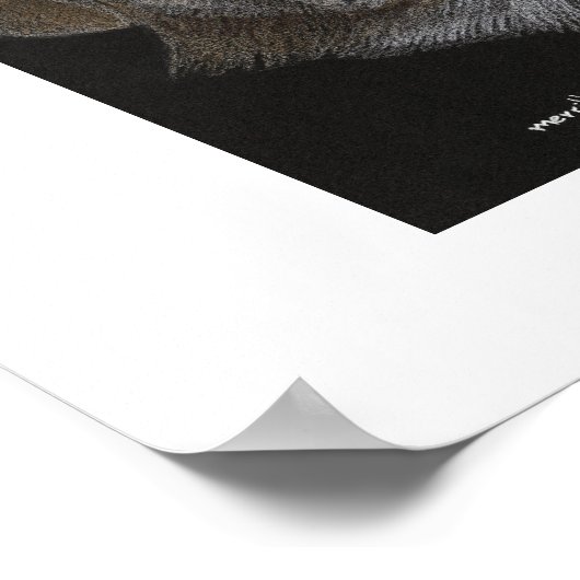 ボー&シシー ポスター (角)