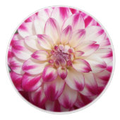 ボー セラミックノブ (正面)