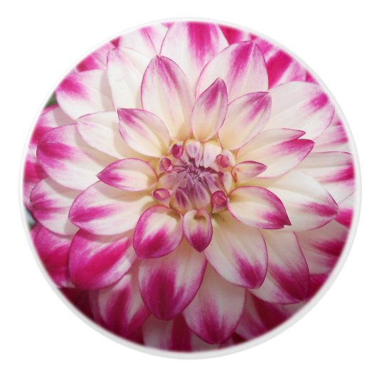 ボー セラミックノブ (正面)