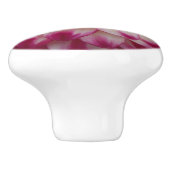 ボー セラミックノブ (側面)