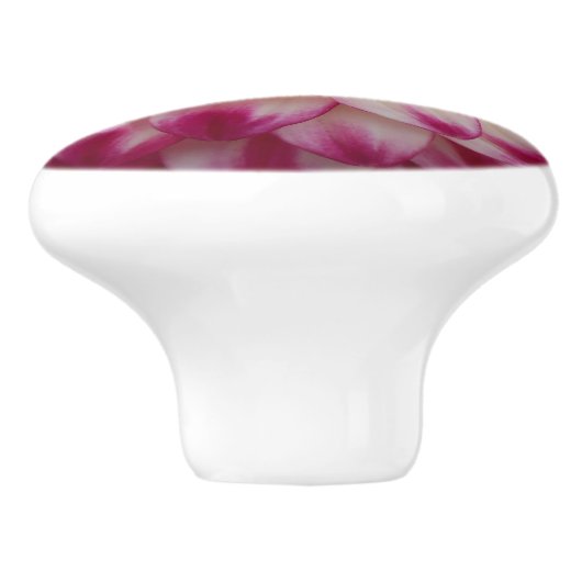 ボー セラミックノブ (側面)