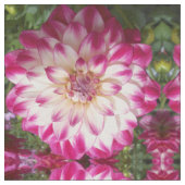 ボー ファブリック (クローズアップ)