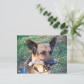 ボー ポストカード (スタンド正面)