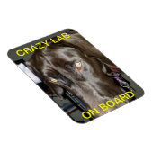 ボ熱狂するードマグネットの実験室 マグネット (右側)