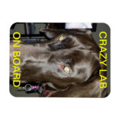 ボ熱狂するードマグネットの実験室 マグネット (横)