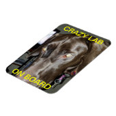 ボ熱狂するードマグネットの実験室 マグネット (左側)