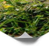 ポアスター ポスター (角)