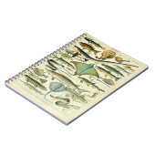 ポアソンズヴィンテージイラストレーション ノートブック (左側)