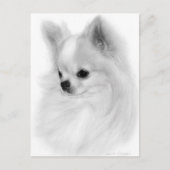 ポイズチワフアハンド絵を描ポートレート ポストカード (正面)