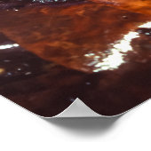 ポイズンダーツカエル ポスター (角)