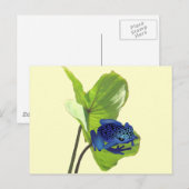 ポイズンダーツカエル ポストカード (正面/裏面)