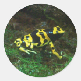 ポイズンダーツカエル ラウンドシール