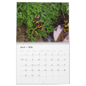 ポイズンダーツフログカレンダー2025 カレンダー (3月 2026)