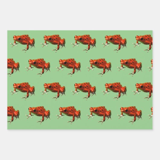 ポイズンダーツフロッグラッピング紙シート ラッピングペーパーシート (正面)