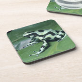 ポイズンダーツフロッグ（デンドロベイトオーラトゥス） Cahuita コースター (左側)