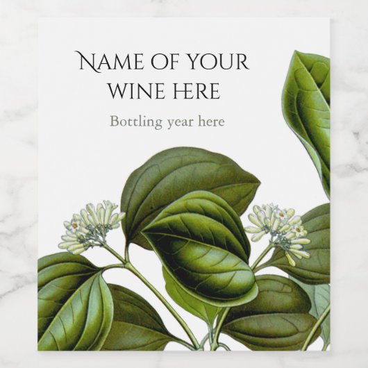 ポイズンナッツツリーヴィンテージイラストレーション ワインラベル (シングルラベル)