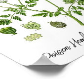 ポイズンヘムロックヴィンテージイラストレーション ポスター (角)