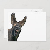 ポイトゥーエッセル ポストカード (正面/裏面)