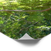 ポインシアナの木の枝ポスター ポスター (角)