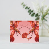 ポインシ王室のアナ ポストカード (スタンド正面)