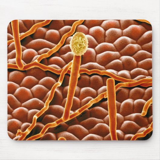 ポインセチアのうどんこ病の菌類 マウスパッド (正面)