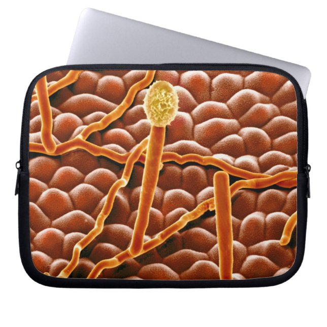 ポインセチアのうどんこ病の菌類 ラップトップスリーブ (正面)