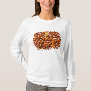 ポインセチアのうどんこ病の菌類 Tシャツ