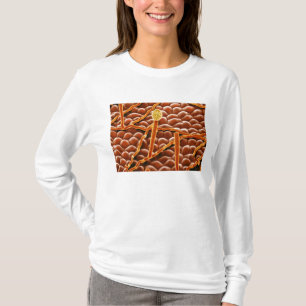 ポインセチアのうどんこ病の菌類 Tシャツ