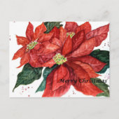 ポインセチアのクリスマスポストカード シーズンポストカード (正面)