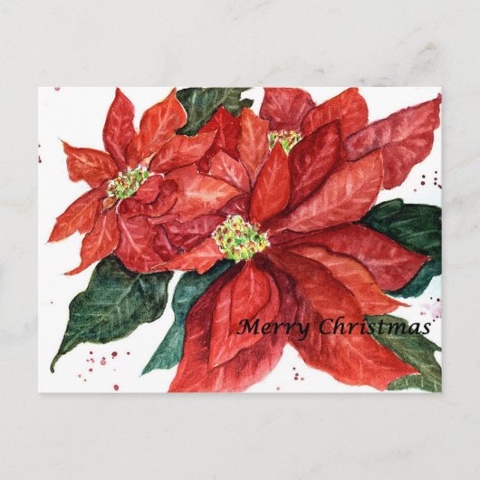 ポインセチアのクリスマスポストカード シーズンポストカード (正面)