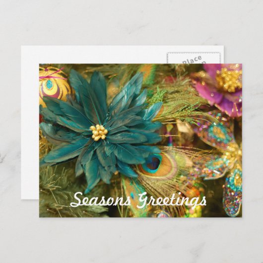 ポインセチアの孔雀の羽のクリスマスの郵便はがき シーズンポストカード (正面/裏面)