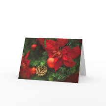 ポインセチアの美しい