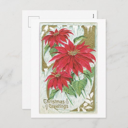 ポインセチアファッションドオールドクリスマス シーズンポストカード (正面/裏面)