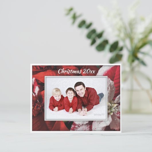 ポインセチア家族の写真はがき ポストカード (スタンド正面)