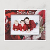 ポインセチア家族の写真はがき ポストカード (正面)