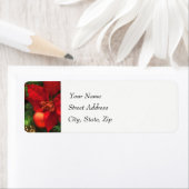 ポインセチア美しい差出人住所ラベル ラベル (インサイチュ)