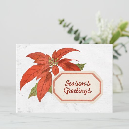 ポインセチア花シーズンのグリーティングクリスマスレッド シーズンカード (スタンド正面)
