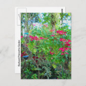 ポインセチア裏庭はがき ポストカード (正面/裏面)