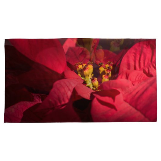 ポインセチア赤いクリスマスの花 枕カバー (正面右)