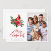 ポインセチア赤（鳥）ショウジョウコウカンチョウクリスマスグリーティング写真 シーズンカード (正面/裏面)