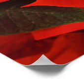 ポインセチア閉じる ポスター (角)