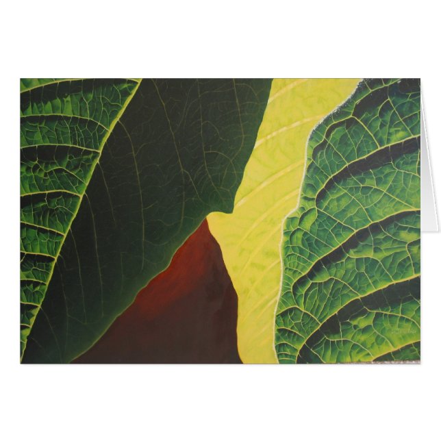 ポインセチア (正面横)