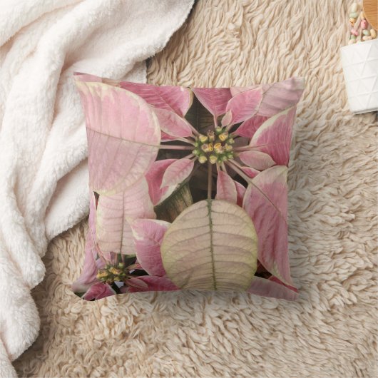 ポインセチア クッション (ブランケット)