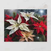 ポインセチア・シーズンのご挨拶 シーズンポストカード (正面)