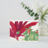 ポインセチア・ドラセナby谷上湖南 ポストカード (スタンド正面)
