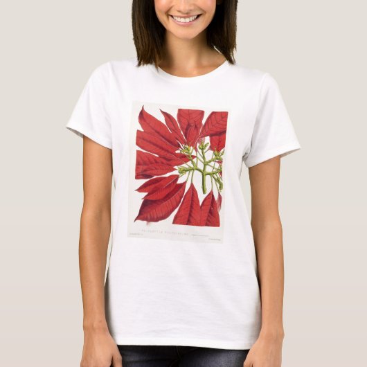 ポインセチア・プルチェリマ Tシャツ (正面)