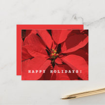 ポインセチア・メリークリスマスハッピー新年