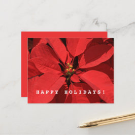 ポインセチア・メリークリスマスハッピー新年 シーズンポストカード