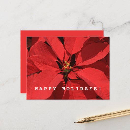 ポインセチア・メリークリスマスハッピー新年 シーズンポストカード (正面/裏面インサイチュ)