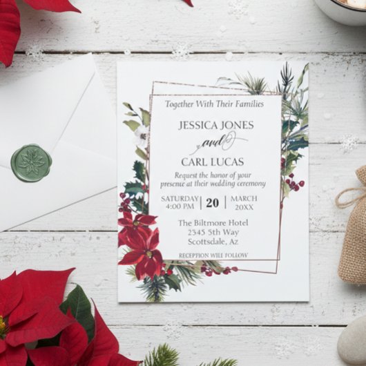 ポインセチア 冬 クリスマス 花フレーム 予算 チラシ